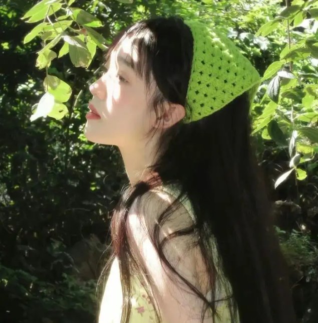 精灵高中